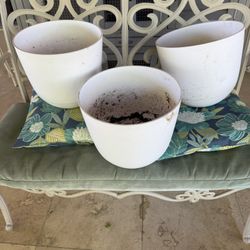 Flower Pots 