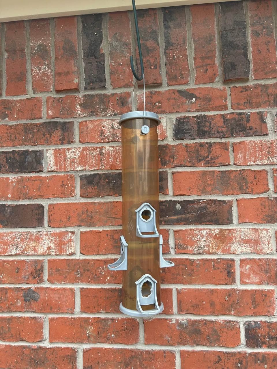 Sturdy bird feeder with multiple feeding ports - $10