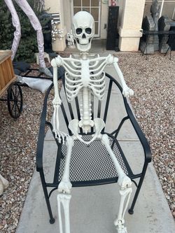 Life-Size Skeleton