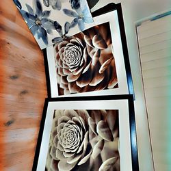 Succulent wall art framed paintings
