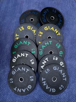Bumper Weights