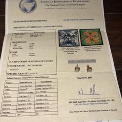 Diamond Earrings With Paperwork With It