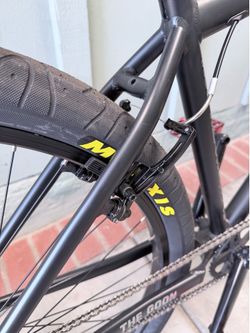 Throne 29er