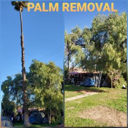 Stump Grinding, Tree Messge