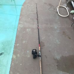 Shakespeare Fishing Reel