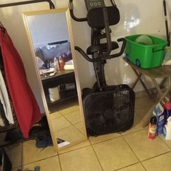 Slim Cycle Recumbant Bike/Body Mirror/Box Fan