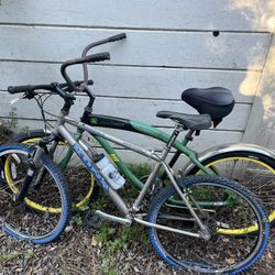 Beach Cruiser & Mountain Bike 