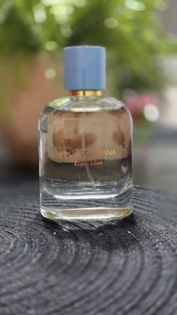 Dolce Gabbana Light Blue Edp 2026