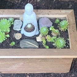 Handmade Cedar Planter With Buddha Figurine And Succulents 