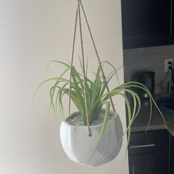 Hanging Fake Plant 