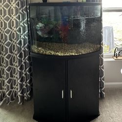 Bowfront Tank Setup with the stand 36gallons