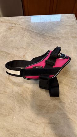 Julius Dog Harness