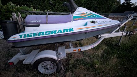 Jet Ski Arctic Cat Montego Tigershark
