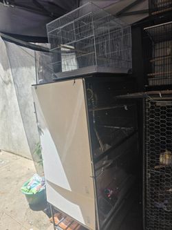 Cage