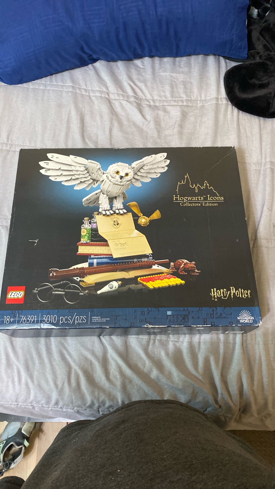 Hogwarts Icons Collectors Edition 76391
