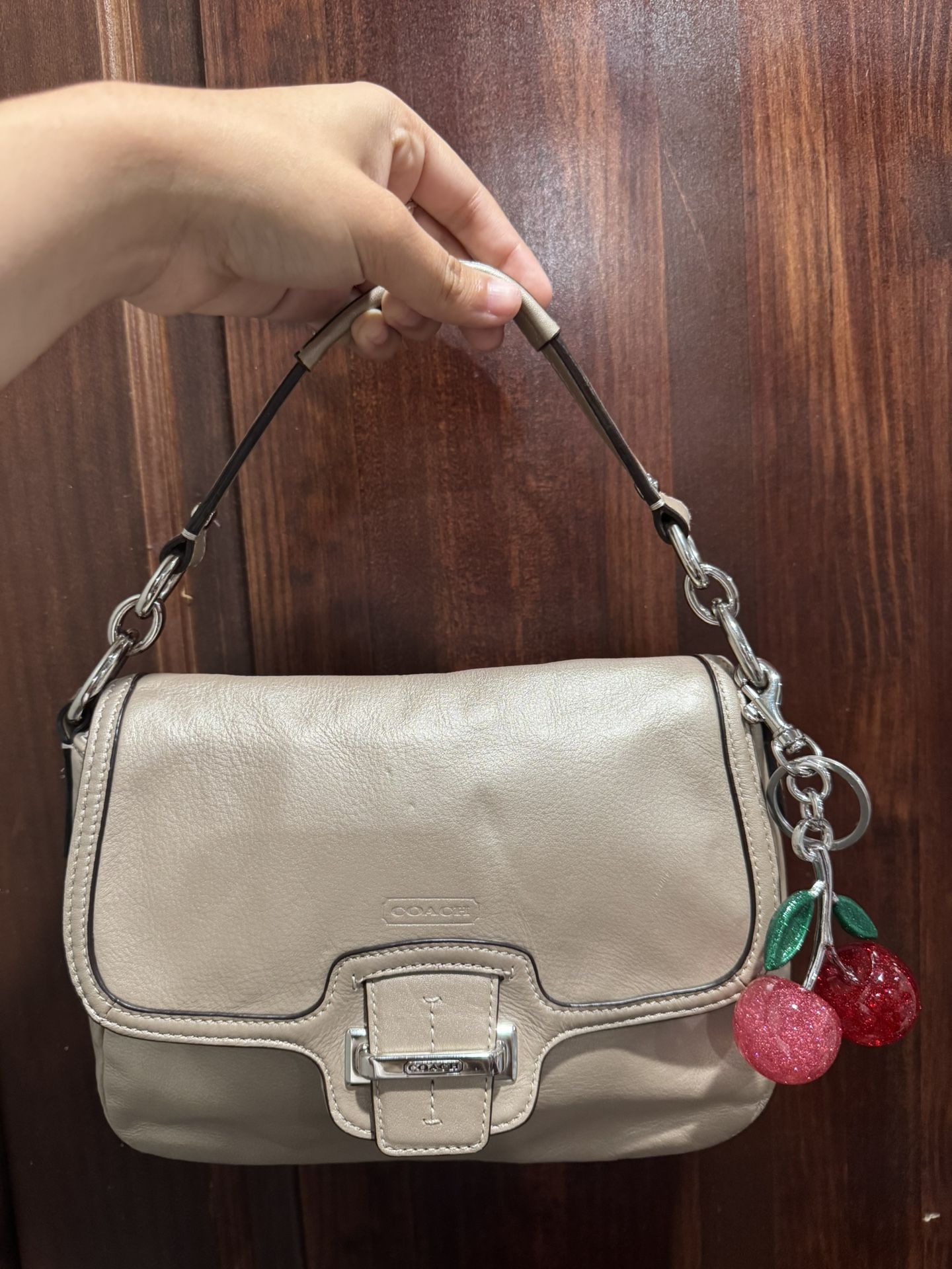 Metallic Coach Shoulder Bag