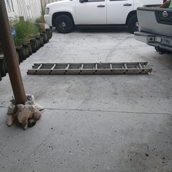 Aluminum Ladder Extendable 