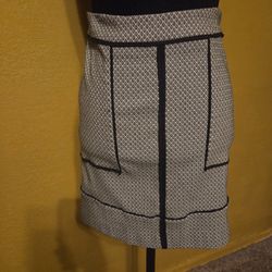 Pencil Skirt