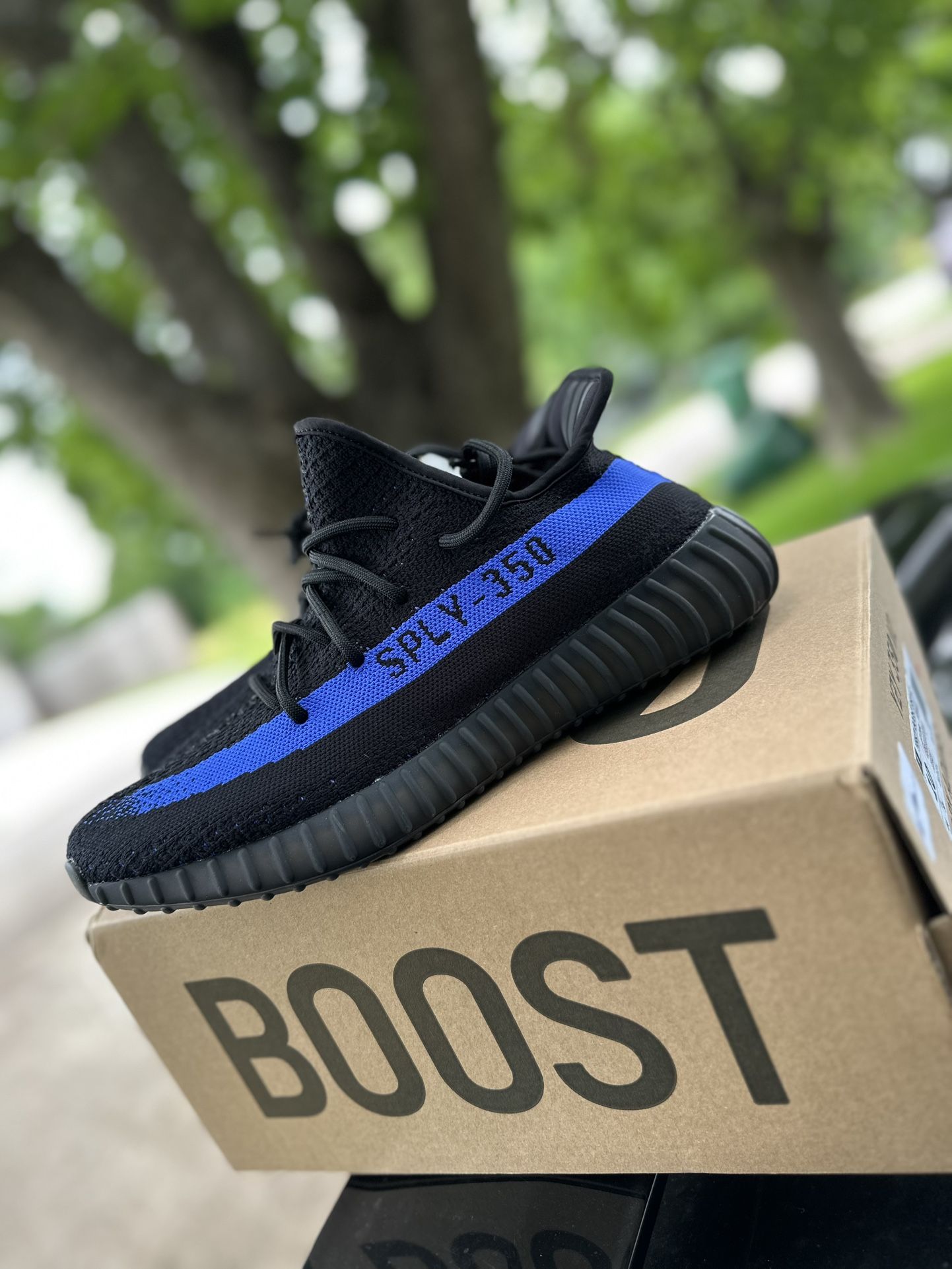 Yezzys Adidas Size 10 & 11