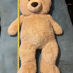 Big teddy bear 