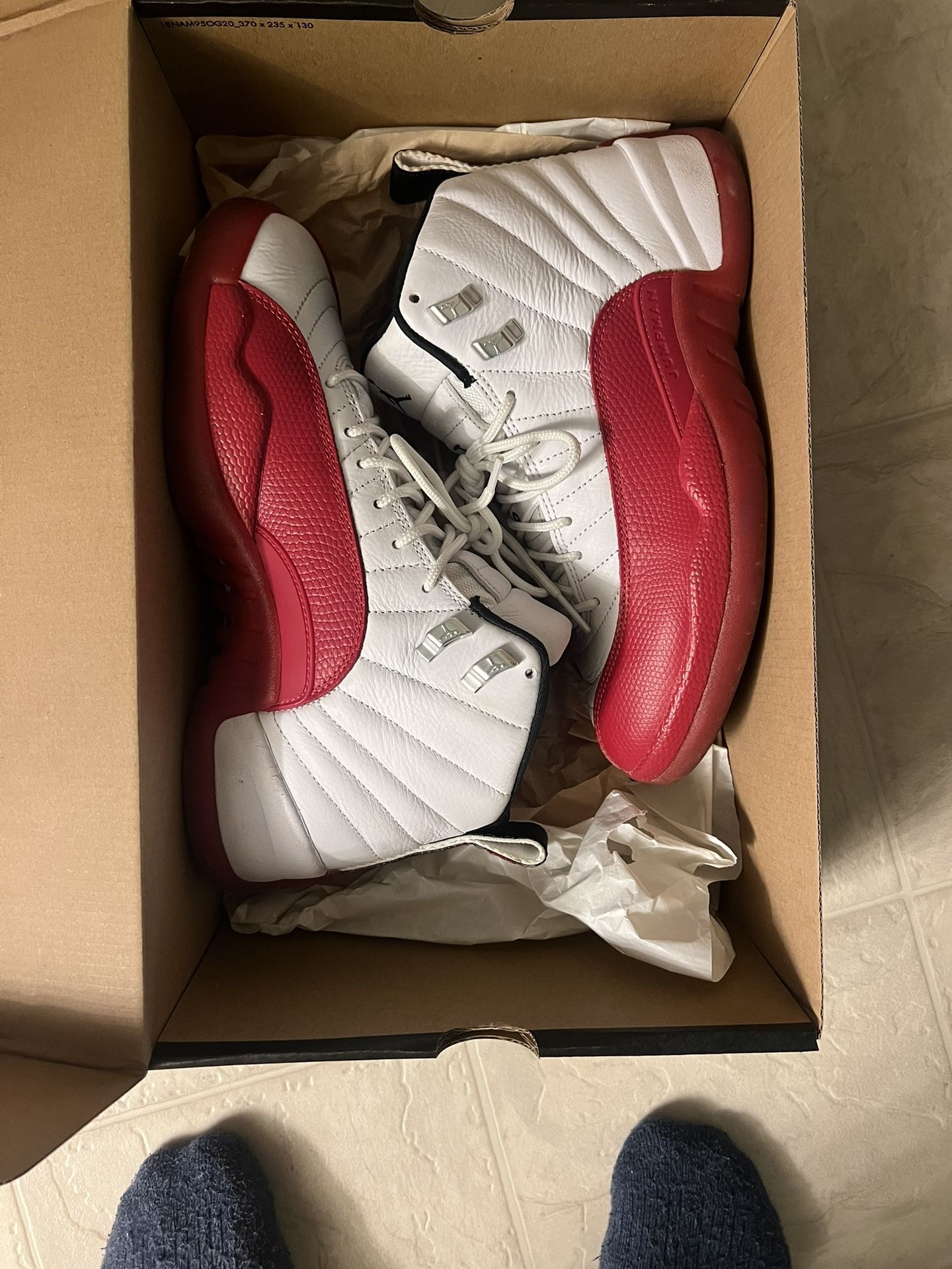 Jordan Cherry 12s