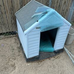 Dog House