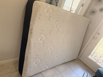 Sealy Mattres Pillow Firm matress