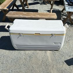 Igloo  XL cooler