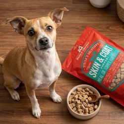 Meal or Topper for Dog - Stella & Chewy's