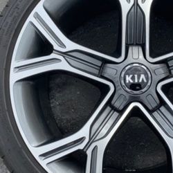 Cadenza Spectra Rio Sedona Sorento Kia Optima Rims Forte Wheels Sportage 