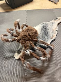 Spirit Halloween Brown Jumping Spider Animatronic w/ Step Pad – Lights, Sound, Jumps