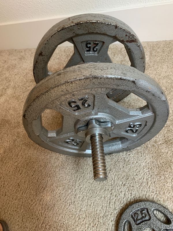 Weights plus mini straight bar barbell . for Sale in Seattle, WA OfferUp