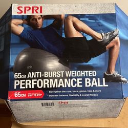 65 Cm Anti Burst Weighted Performance Ball