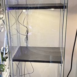 Glass Display With  Grow Lights 
