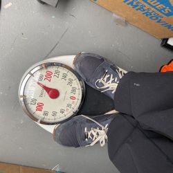 TAYLOR Profesional  Scale_Capacity 330lbs