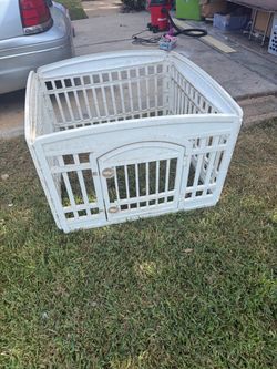 Outside cage