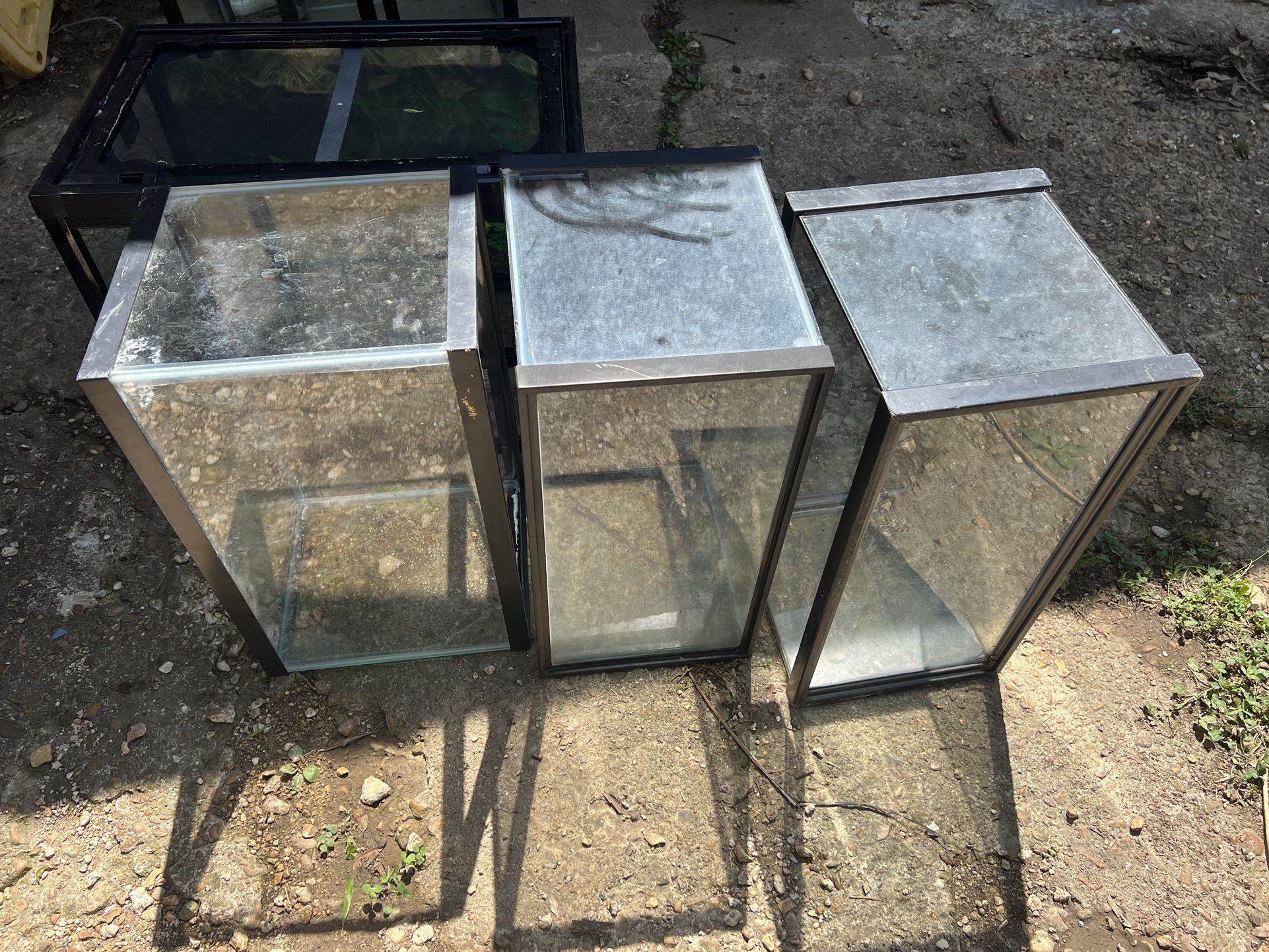 10 Gallon Tanks