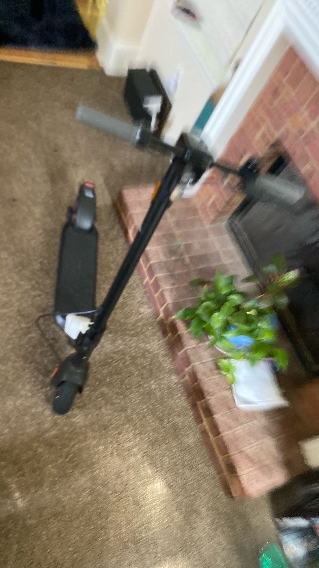 Kqi1 Sports Scooter