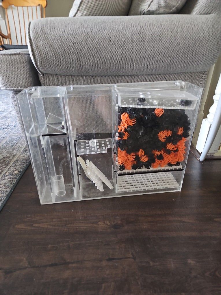 Wet/dry Aquarium Filter with Protein Skimmer and 2  Power Heads
