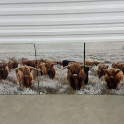 Highland Cow Wall Art 3-Panel Canvas