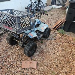 TAOTAO 110cc ATV  Automatic Transmission