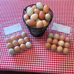 Farm Fresh Dzn Eggs
