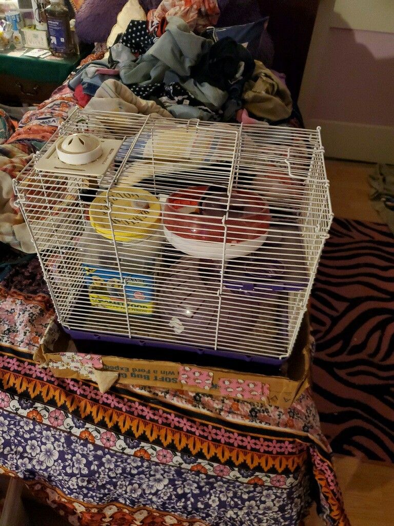Hamster cage + Accessories