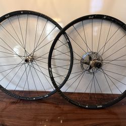DT Swiss Rims and Hubs