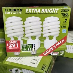 Ecobulb Soft White