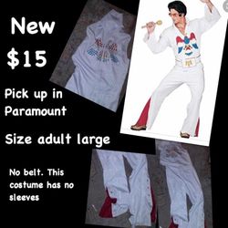 Elvis costume