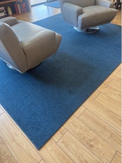 Blue Carpet Area Rugs Multiple Sizes and Prices