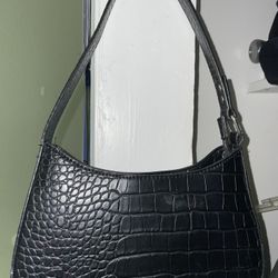 Lizard Skin Purse