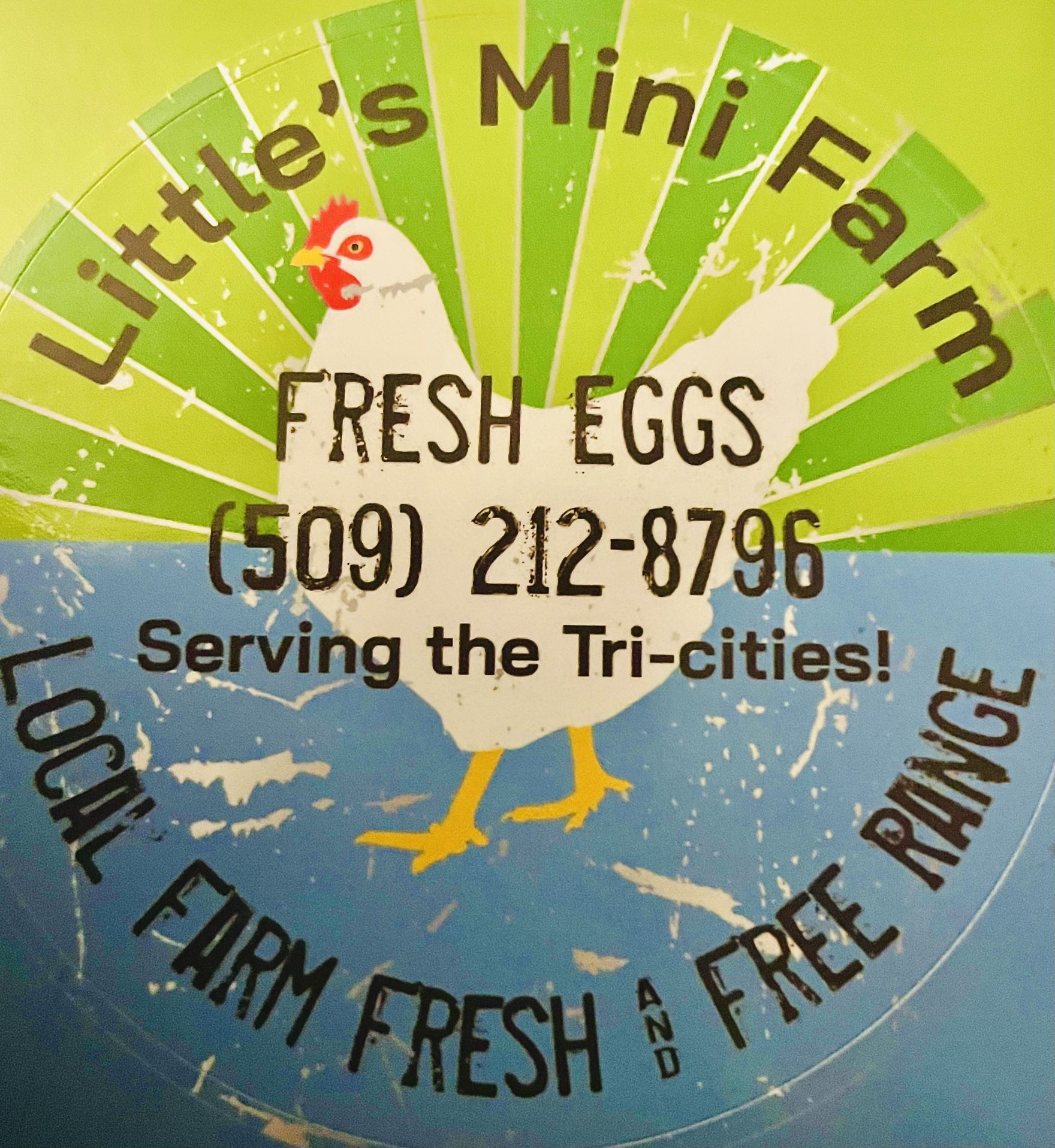 (12) One Dozen Free Range Eggs For Only $4.00