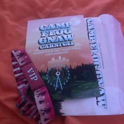 Camp Flognaw VIP wristband 